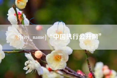 新野“中国执行公开网”