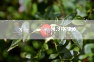 新野5000米及格成绩