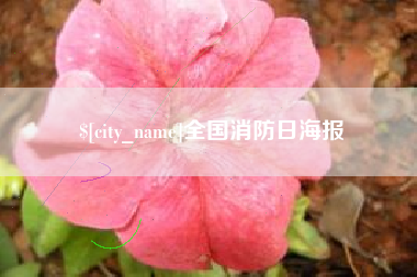 新野全国消防日海报