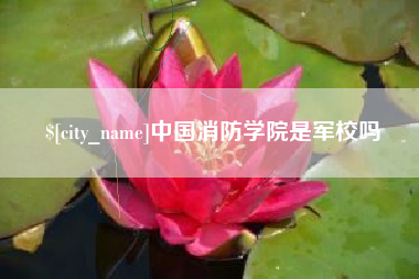 新野中国消防学院是军校吗