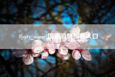 新野国家消防报名入口