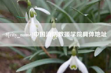 新野中国消防救援学院具体地址