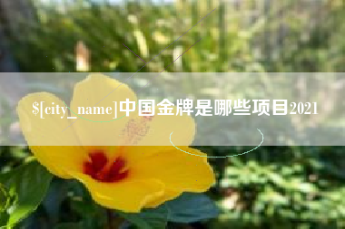 新野中国金牌是哪些项目2021