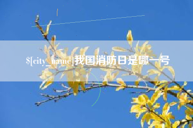 新野我国消防日是哪一号
