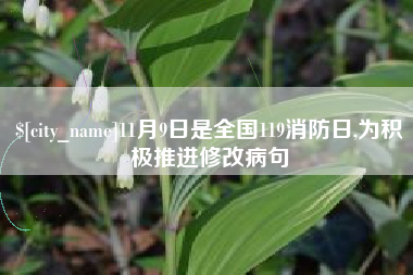 新野11月9日是全国119消防日,为积极推进修改病句