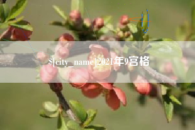 新野2021年9宫格