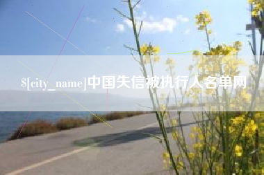 新野中国失信被执行人名单网