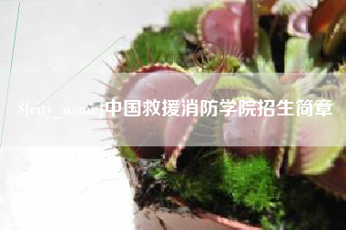 新野中国救援消防学院招生简章