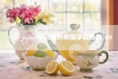 新野中国消防救援学院分数2020