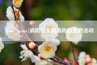 新野消防日全国消防日主题活动