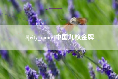 新野中国九枚金牌