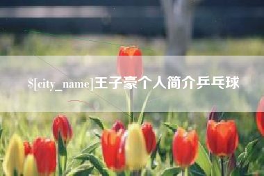 新野王子豪个人简介乒乓球