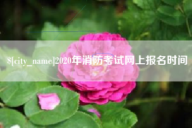 新野2020年消防考试网上报名时间