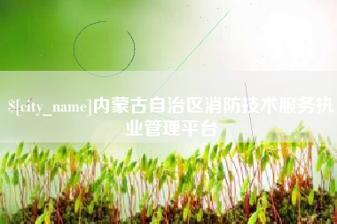 新野内蒙古自治区消防技术服务执业管理平台