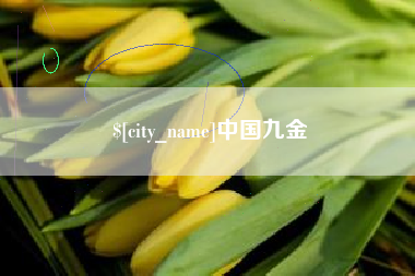 新野中国九金