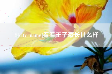 新野看看王子豪长什么样