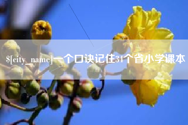新野一个口诀记住34个省小学课本