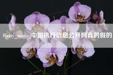 新野中国执行信息公开网真的假的