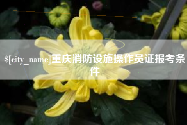 新野重庆消防设施操作员证报考条件