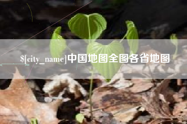 新野中国地图全图各省地图