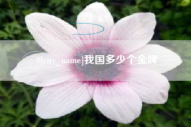 新野我国多少个金牌