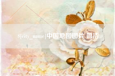 新野中国地图图片 简洁