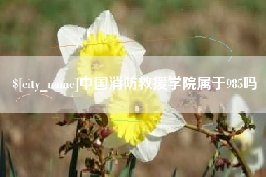 新野中国消防救援学院属于985吗