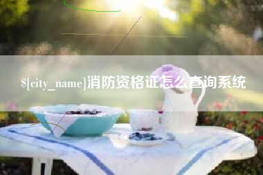新野消防资格证怎么查询系统