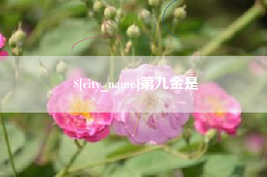 新野第九金是