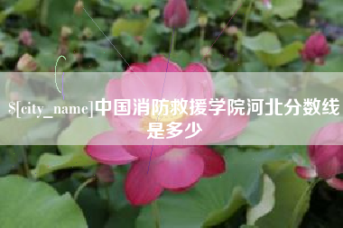 新野中国消防救援学院河北分数线是多少