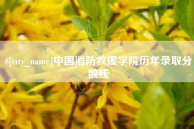 新野中国消防救援学院历年录取分数线