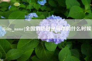 新野全国消防日是每年的什么时候