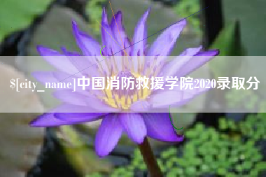 新野中国消防救援学院2020录取分