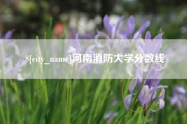 新野河南消防大学分数线