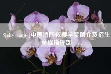 新野中国消防救援学院简介及招生章程指挥部