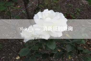 新野消防证的查询