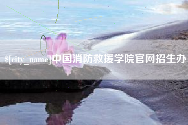 新野中国消防救援学院官网招生办
