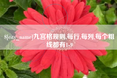 新野九宫格规则,每行,每列,每个粗线都有1-9