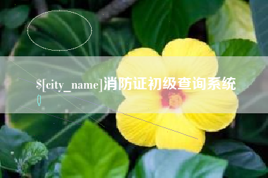 新野消防证初级查询系统