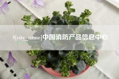新野中国消防产品信息中心