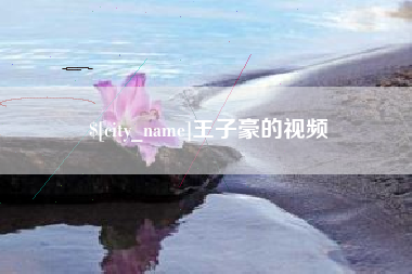 新野王子豪的视频