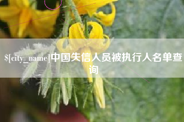 新野中国失信人员被执行人名单查询