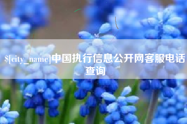 新野中国执行信息公开网客服电话查询