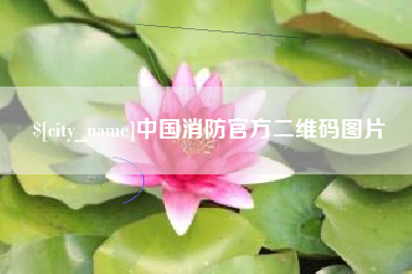 新野中国消防官方二维码图片