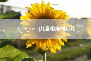 新野九宫格排列方式
