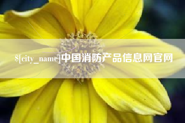 新野中国消防产品信息网官网