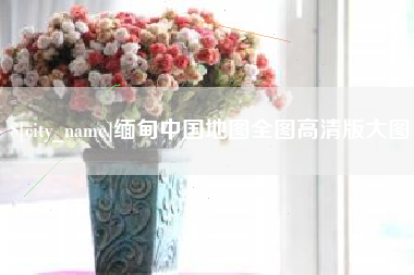 新野缅甸中国地图全图高清版大图
