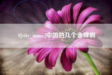 新野中国的几个金牌啊