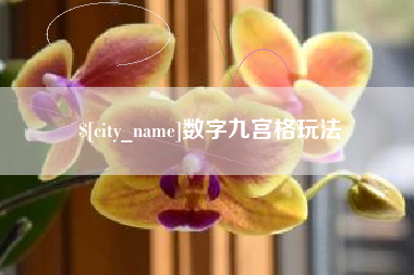 新野数字九宫格玩法