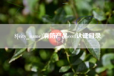 新野消防产品cccf认证目录
